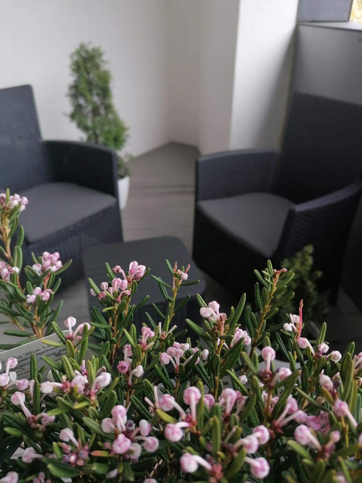 Szczecin Hanza Tower Apartment-Basen Extérieur photo